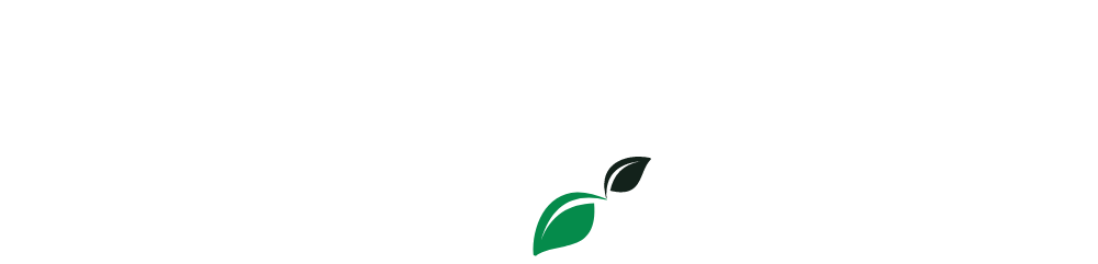 Les Sens du Thé